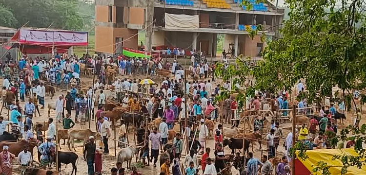 প্রধান উপদেষ্টা পদত্যাগ করবেন না: ফাইজ তাইয়েব আহমেদ