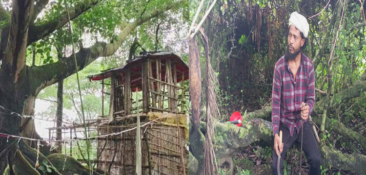 প্রধান উপদেষ্টা পদত্যাগ করবেন না: ফাইজ তাইয়েব আহমেদ