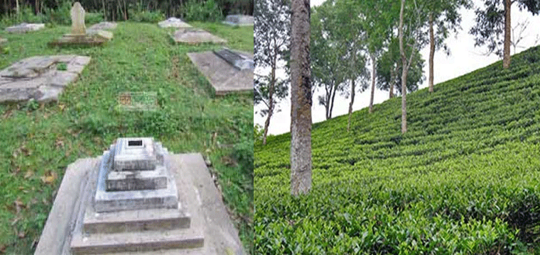 প্রধান উপদেষ্টা পদত্যাগ করবেন না: ফাইজ তাইয়েব আহমেদ