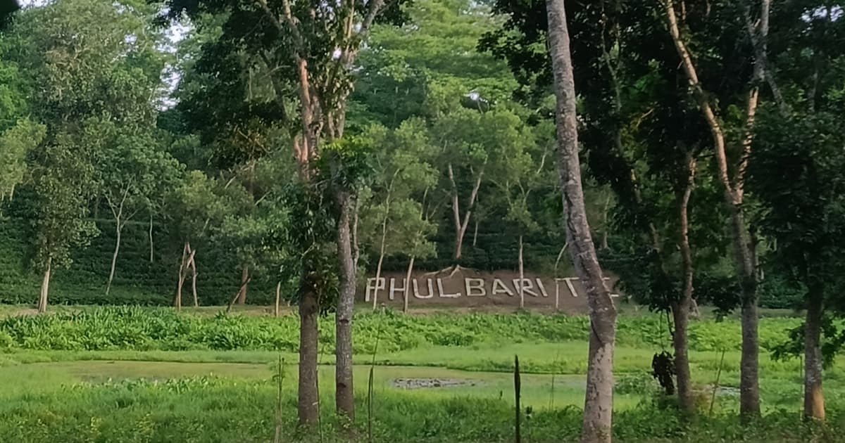 প্রধান উপদেষ্টা পদত্যাগ করবেন না: ফাইজ তাইয়েব আহমেদ