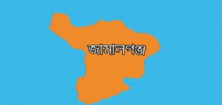 প্রধান উপদেষ্টা পদত্যাগ করবেন না: ফাইজ তাইয়েব আহমেদ
