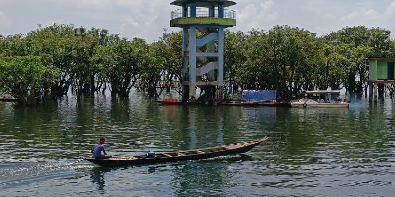 প্রধান উপদেষ্টা পদত্যাগ করবেন না: ফাইজ তাইয়েব আহমেদ