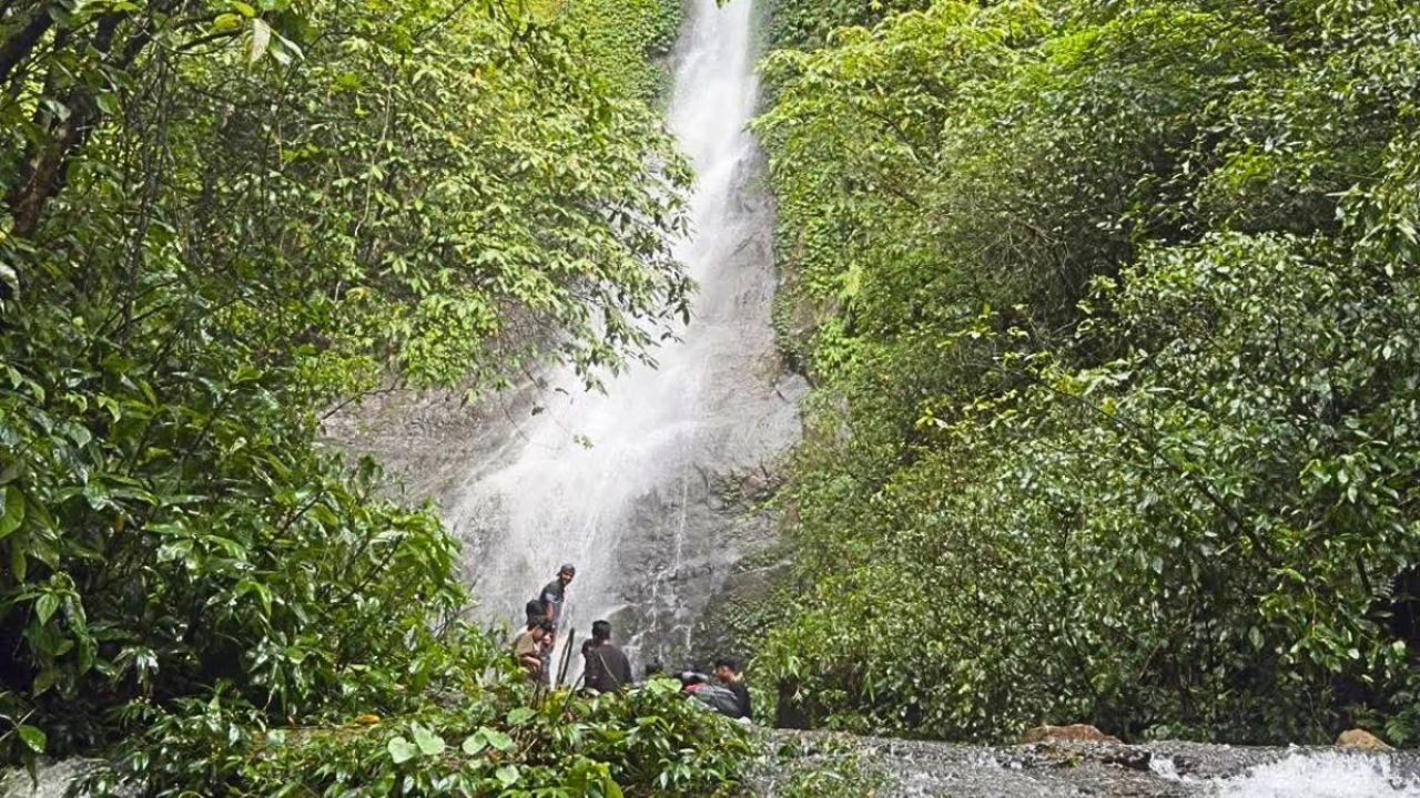 প্রধান উপদেষ্টা পদত্যাগ করবেন না: ফাইজ তাইয়েব আহমেদ