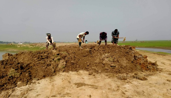 প্রধান উপদেষ্টা পদত্যাগ করবেন না: ফাইজ তাইয়েব আহমেদ