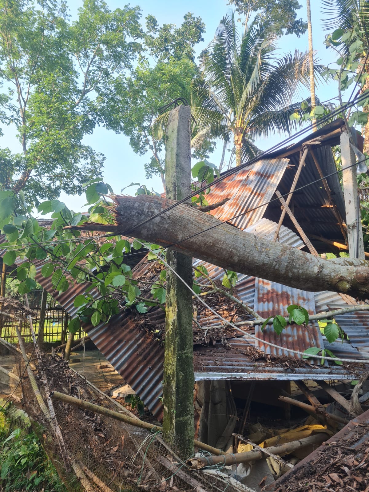 প্রধান উপদেষ্টা পদত্যাগ করবেন না: ফাইজ তাইয়েব আহমেদ