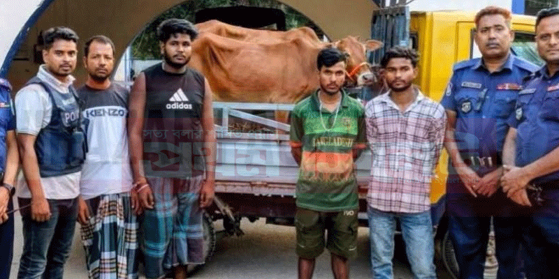 প্রধান উপদেষ্টা পদত্যাগ করবেন না: ফাইজ তাইয়েব আহমেদ