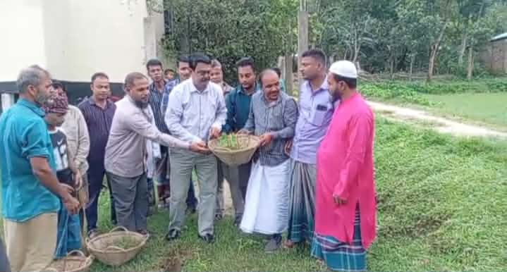 প্রধান উপদেষ্টা পদত্যাগ করবেন না: ফাইজ তাইয়েব আহমেদ