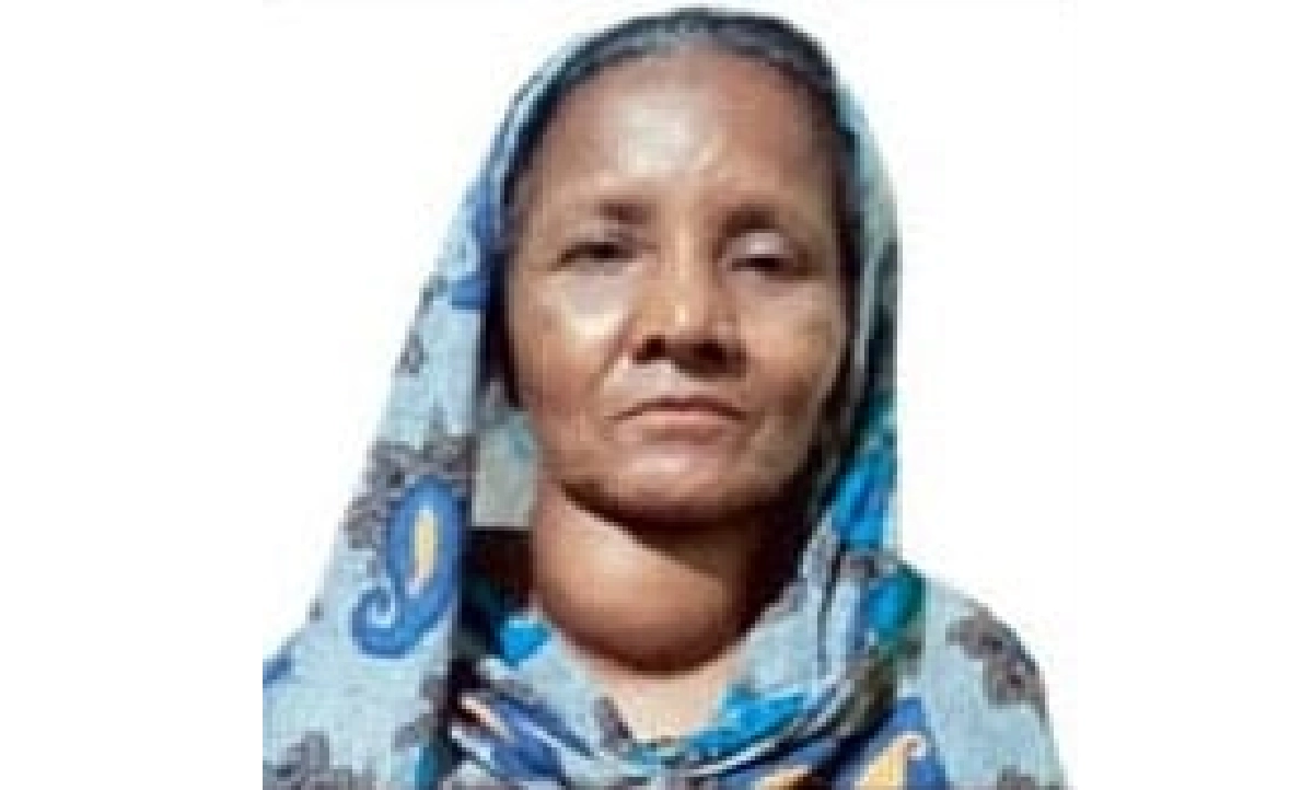 প্রধান উপদেষ্টা পদত্যাগ করবেন না: ফাইজ তাইয়েব আহমেদ