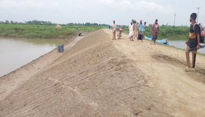 প্রধান উপদেষ্টা পদত্যাগ করবেন না: ফাইজ তাইয়েব আহমেদ