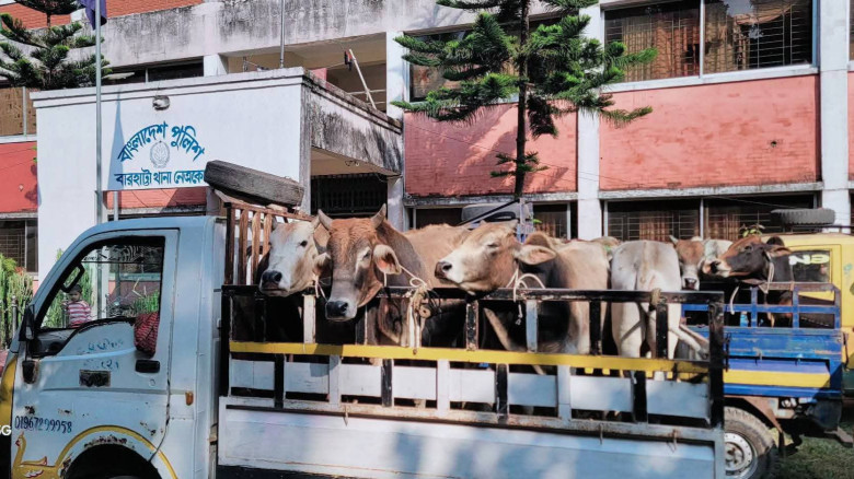 প্রধান উপদেষ্টা পদত্যাগ করবেন না: ফাইজ তাইয়েব আহমেদ