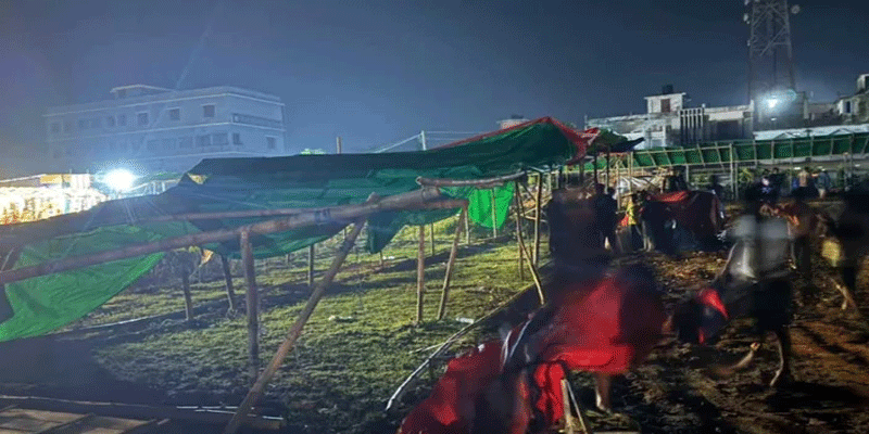 প্রধান উপদেষ্টা পদত্যাগ করবেন না: ফাইজ তাইয়েব আহমেদ