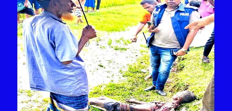 প্রধান উপদেষ্টা পদত্যাগ করবেন না: ফাইজ তাইয়েব আহমেদ