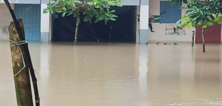 প্রধান উপদেষ্টা পদত্যাগ করবেন না: ফাইজ তাইয়েব আহমেদ