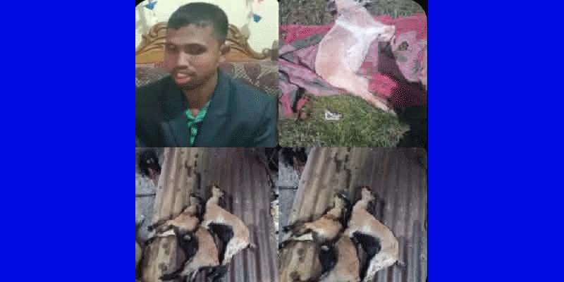 প্রধান উপদেষ্টা পদত্যাগ করবেন না: ফাইজ তাইয়েব আহমেদ