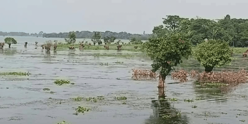 প্রধান উপদেষ্টা পদত্যাগ করবেন না: ফাইজ তাইয়েব আহমেদ