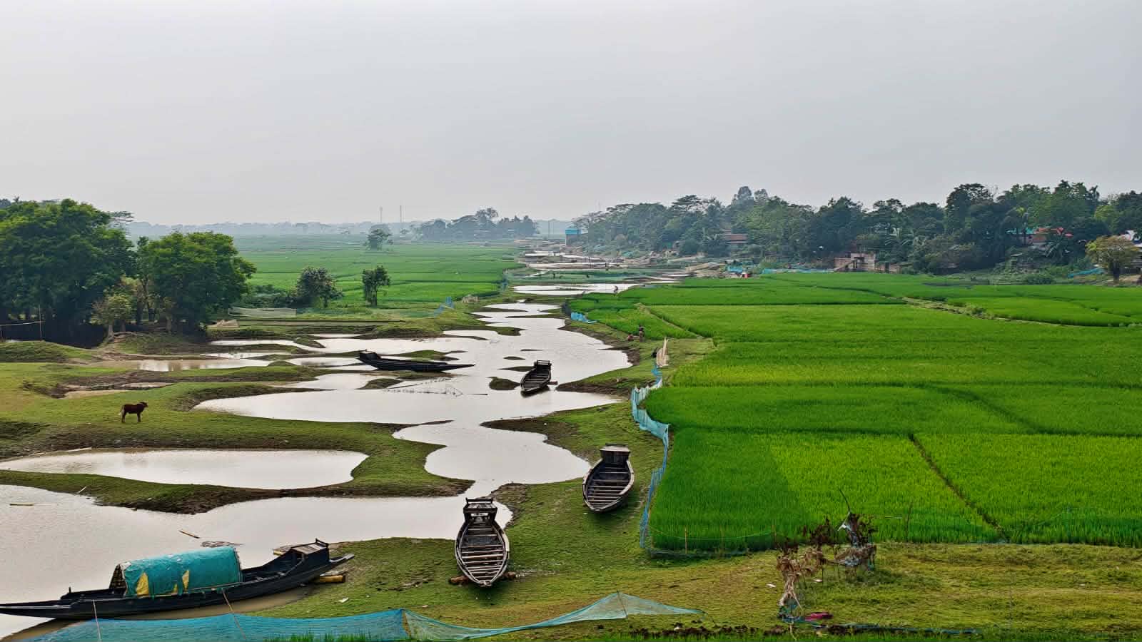 প্রধান উপদেষ্টা পদত্যাগ করবেন না: ফাইজ তাইয়েব আহমেদ