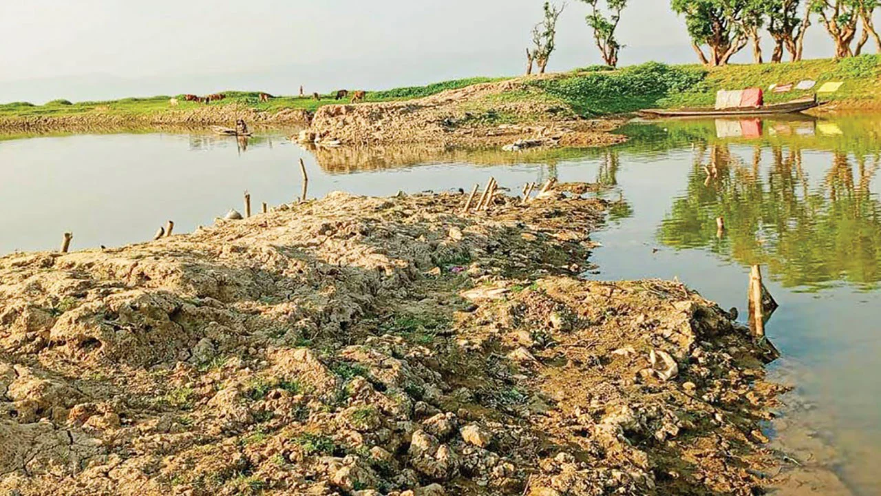 প্রধান উপদেষ্টা পদত্যাগ করবেন না: ফাইজ তাইয়েব আহমেদ