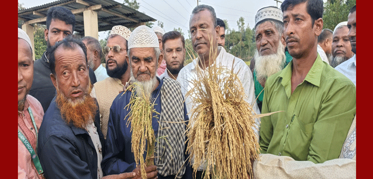 প্রধান উপদেষ্টা পদত্যাগ করবেন না: ফাইজ তাইয়েব আহমেদ