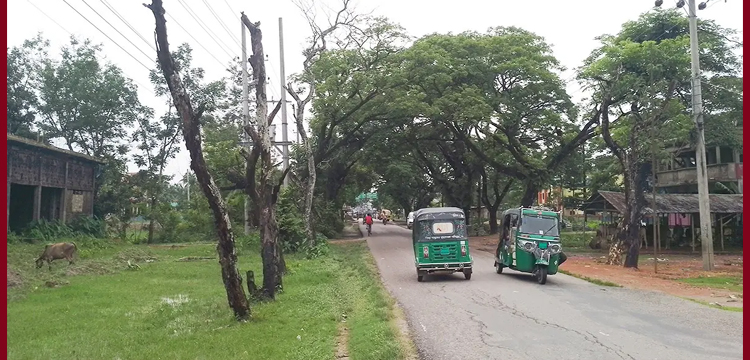 প্রধান উপদেষ্টা পদত্যাগ করবেন না: ফাইজ তাইয়েব আহমেদ