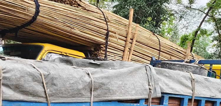 প্রধান উপদেষ্টা পদত্যাগ করবেন না: ফাইজ তাইয়েব আহমেদ
