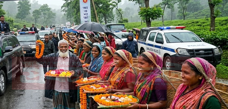 প্রধান উপদেষ্টা পদত্যাগ করবেন না: ফাইজ তাইয়েব আহমেদ