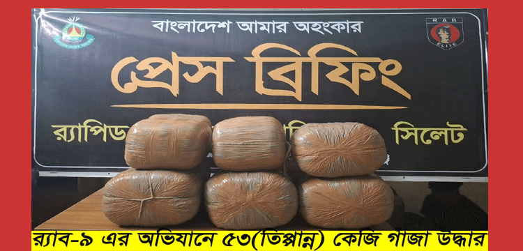 প্রধান উপদেষ্টা পদত্যাগ করবেন না: ফাইজ তাইয়েব আহমেদ