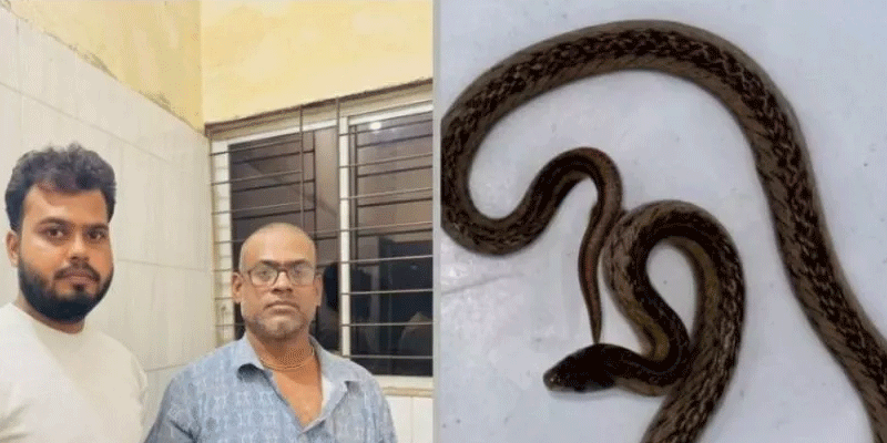প্রধান উপদেষ্টা পদত্যাগ করবেন না: ফাইজ তাইয়েব আহমেদ