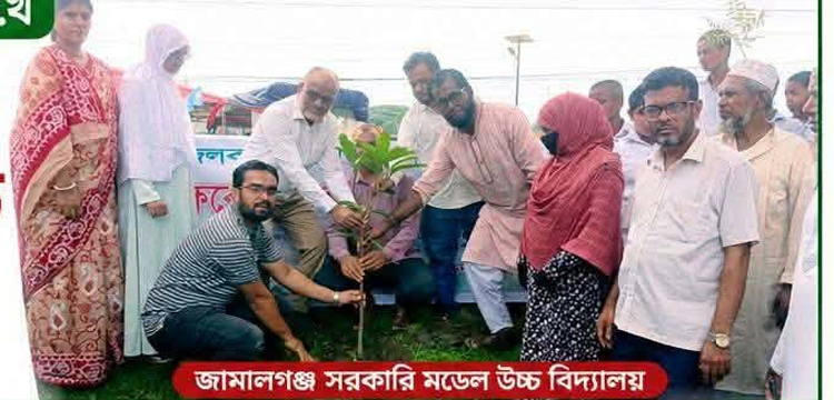 প্রধান উপদেষ্টা পদত্যাগ করবেন না: ফাইজ তাইয়েব আহমেদ