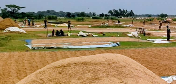 প্রধান উপদেষ্টা পদত্যাগ করবেন না: ফাইজ তাইয়েব আহমেদ