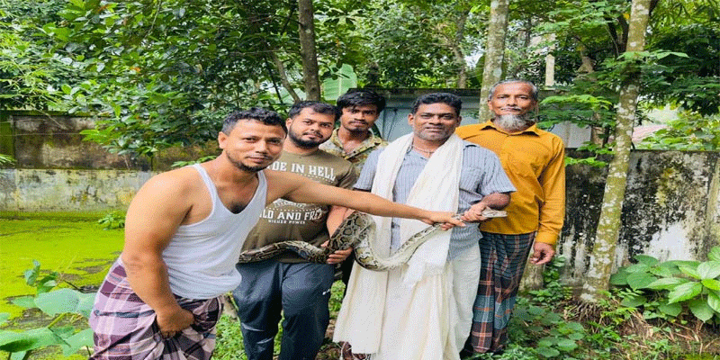 প্রধান উপদেষ্টা পদত্যাগ করবেন না: ফাইজ তাইয়েব আহমেদ