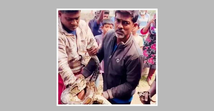 প্রধান উপদেষ্টা পদত্যাগ করবেন না: ফাইজ তাইয়েব আহমেদ