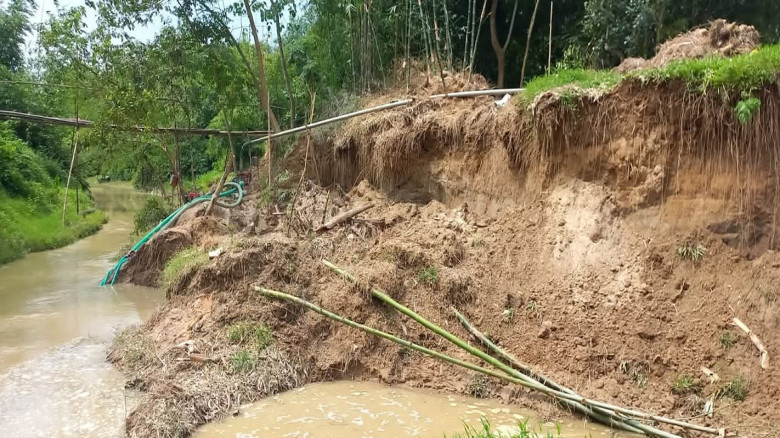 প্রধান উপদেষ্টা পদত্যাগ করবেন না: ফাইজ তাইয়েব আহমেদ