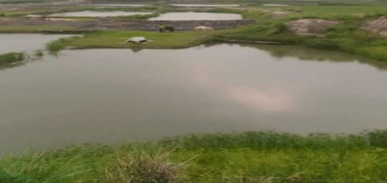 প্রধান উপদেষ্টা পদত্যাগ করবেন না: ফাইজ তাইয়েব আহমেদ