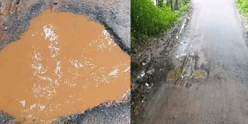 প্রধান উপদেষ্টা পদত্যাগ করবেন না: ফাইজ তাইয়েব আহমেদ