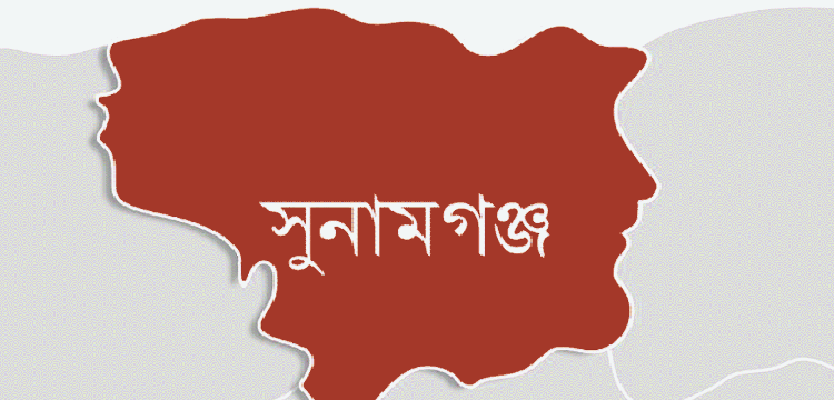 প্রধান উপদেষ্টা পদত্যাগ করবেন না: ফাইজ তাইয়েব আহমেদ