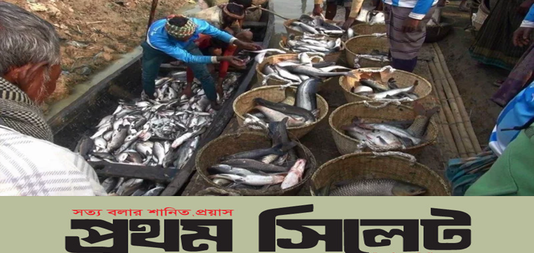 প্রধান উপদেষ্টা পদত্যাগ করবেন না: ফাইজ তাইয়েব আহমেদ
