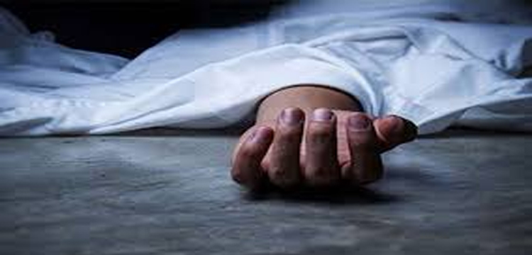 প্রধান উপদেষ্টা পদত্যাগ করবেন না: ফাইজ তাইয়েব আহমেদ