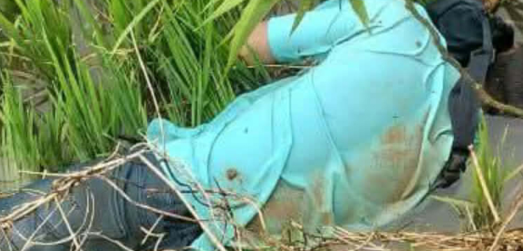 প্রধান উপদেষ্টা পদত্যাগ করবেন না: ফাইজ তাইয়েব আহমেদ