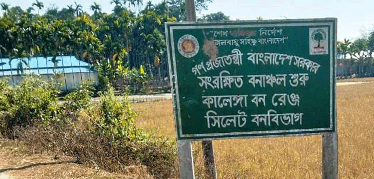 প্রধান উপদেষ্টা পদত্যাগ করবেন না: ফাইজ তাইয়েব আহমেদ