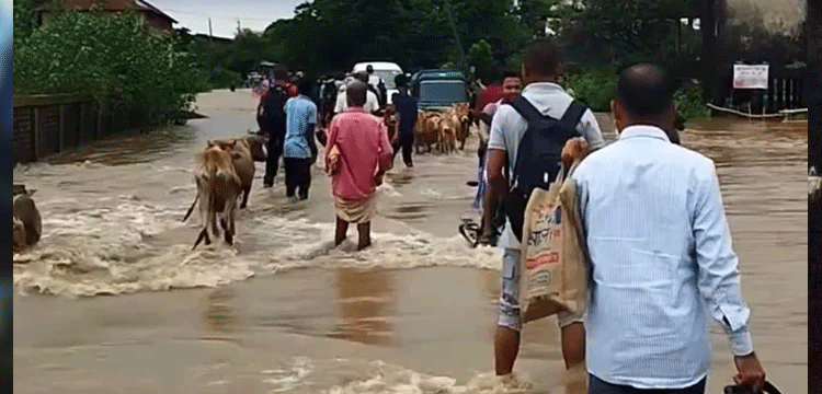 প্রধান উপদেষ্টা পদত্যাগ করবেন না: ফাইজ তাইয়েব আহমেদ