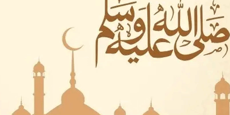 প্রধান উপদেষ্টা পদত্যাগ করবেন না: ফাইজ তাইয়েব আহমেদ