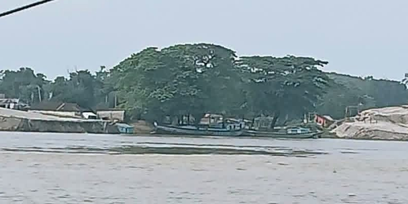 প্রধান উপদেষ্টা পদত্যাগ করবেন না: ফাইজ তাইয়েব আহমেদ