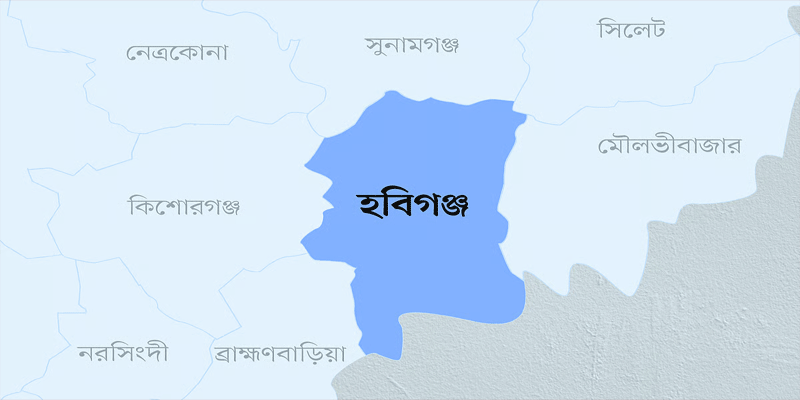 প্রধান উপদেষ্টা পদত্যাগ করবেন না: ফাইজ তাইয়েব আহমেদ
