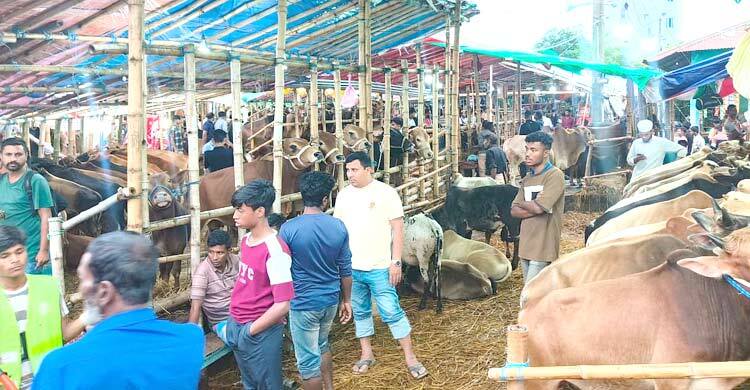 প্রধান উপদেষ্টা পদত্যাগ করবেন না: ফাইজ তাইয়েব আহমেদ