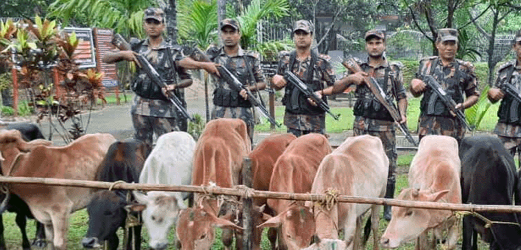 প্রধান উপদেষ্টা পদত্যাগ করবেন না: ফাইজ তাইয়েব আহমেদ