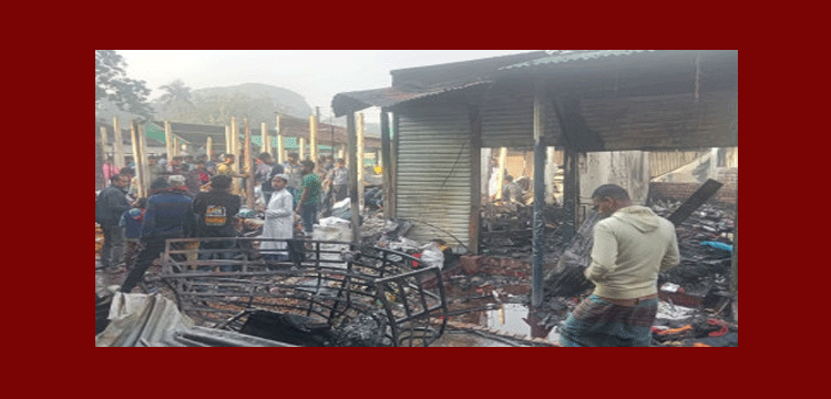 প্রধান উপদেষ্টা পদত্যাগ করবেন না: ফাইজ তাইয়েব আহমেদ