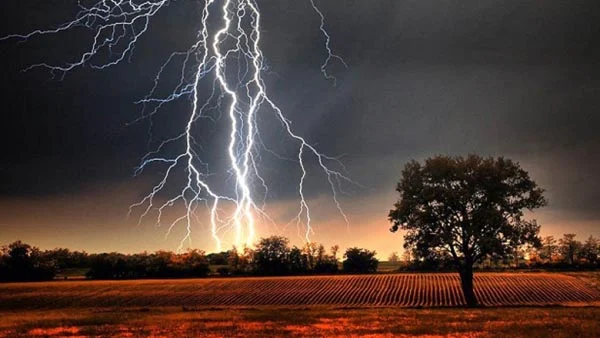 প্রধান উপদেষ্টা পদত্যাগ করবেন না: ফাইজ তাইয়েব আহমেদ