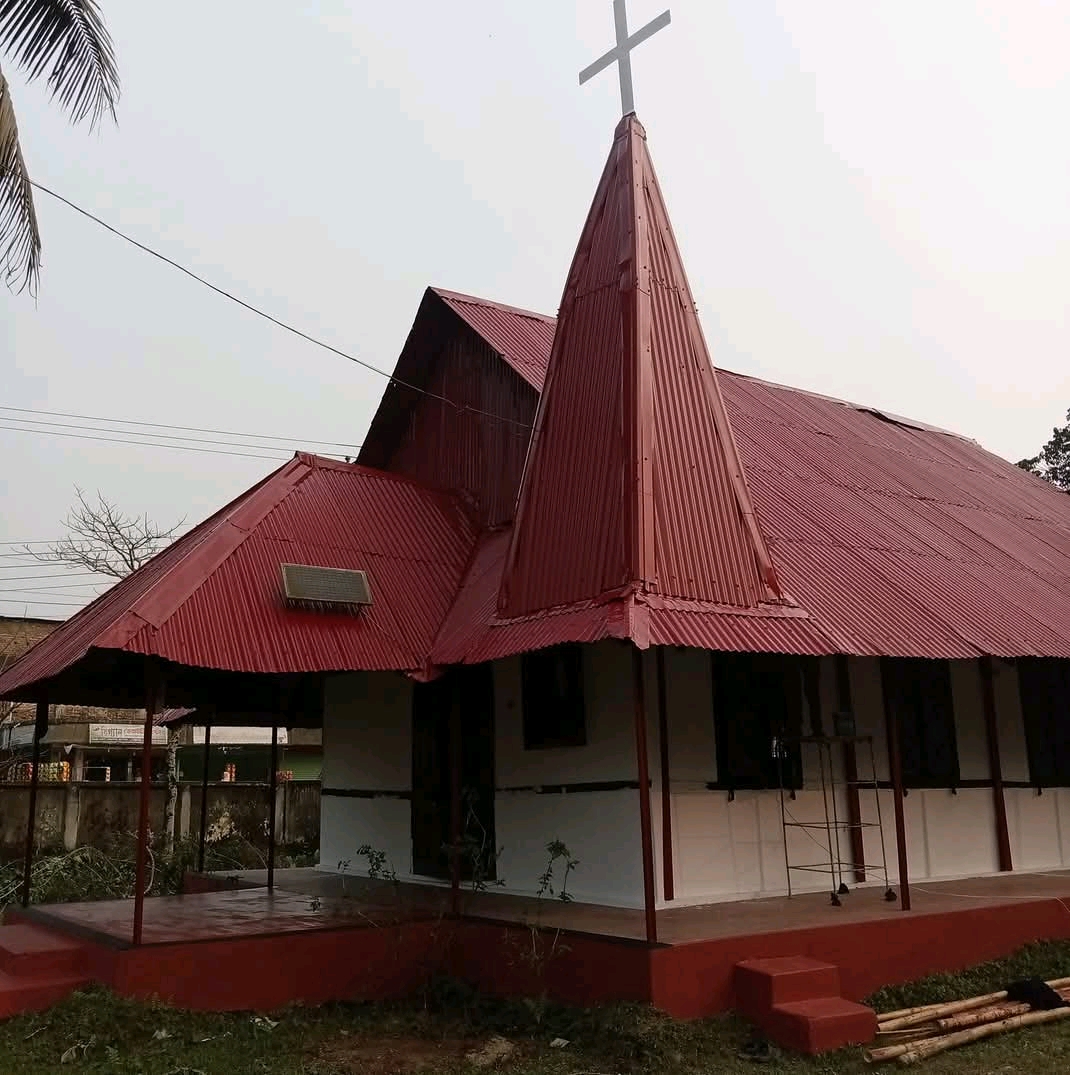 প্রধান উপদেষ্টা পদত্যাগ করবেন না: ফাইজ তাইয়েব আহমেদ