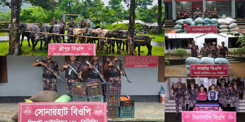 প্রধান উপদেষ্টা পদত্যাগ করবেন না: ফাইজ তাইয়েব আহমেদ