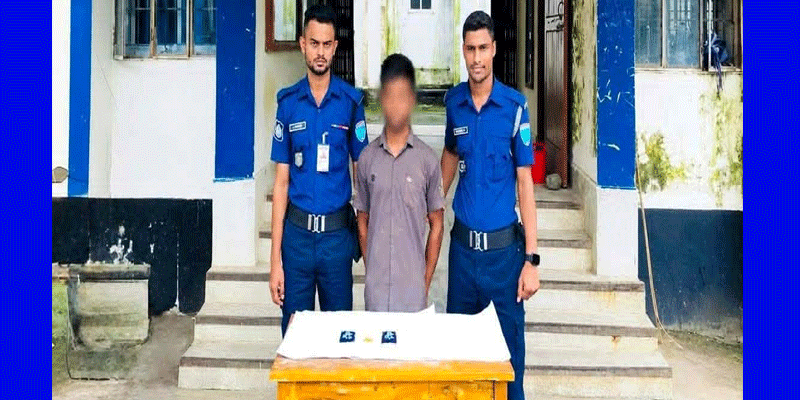প্রধান উপদেষ্টা পদত্যাগ করবেন না: ফাইজ তাইয়েব আহমেদ